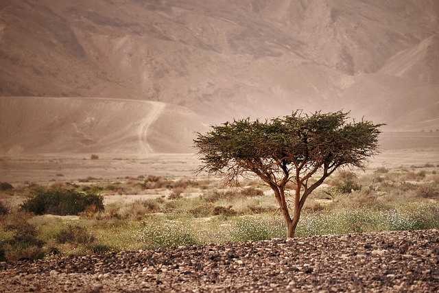 Kan børn tåle tran? Fordele og ulemper ved tran til de små